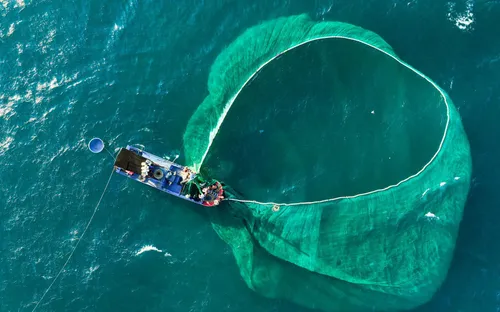 Chiều An Ninh Đông: Bản tình ca giữa đá và đại dương Phú Yên