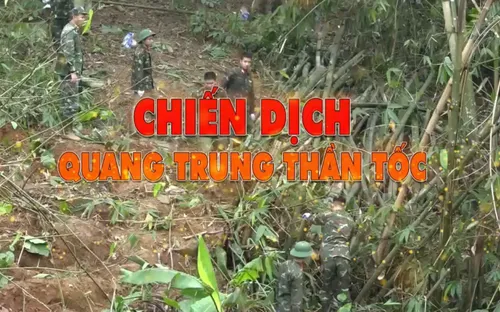 Chiến dịch "Quang Trung thần tốc"