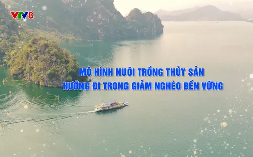 Phóng sự: Mô hình nuôi trồng thủy sản - Hướng đi trong giảm nghèo (18/12/2025)