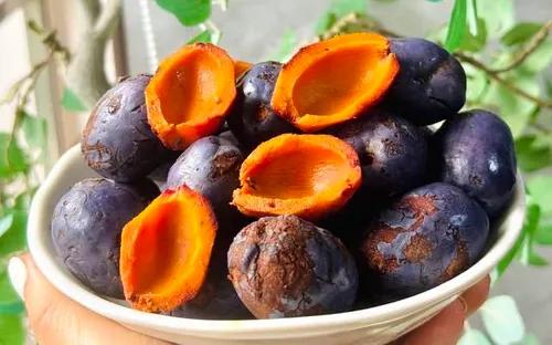 Quả cọ: Từ món "ăn cho qua bữa" đến đặc sản trăm nghìn đồng