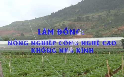 Phóng sự: Lâm Đồng - Nông nghiệp công nghệ cao không nhà kính (17/12/2025)