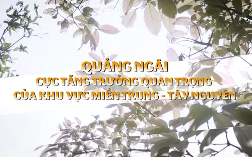 Phóng sự: Quảng Ngãi cực tăng trưởng quan trọng của khu vực miền Trung - Tây Nguyên (18/12/2025)