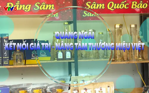 Phóng sự: Quảng Ngãi - Kết nối giá trị nông sản, vươn tầm thương hiệu Việt (17/12/2025)