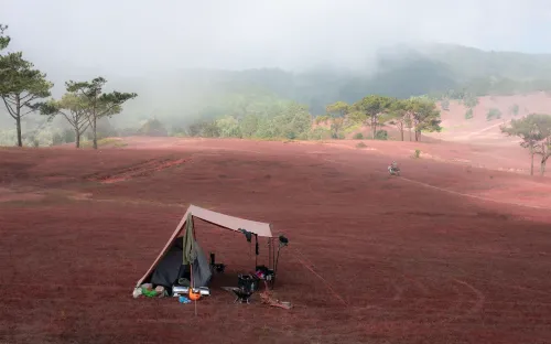 Cắm trại đón bình minh trên thảo nguyên cỏ hồng Masara