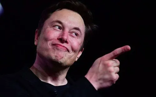 "Cái chết" của MisterGreen: Bài học đắt giá khi đặt cược tất tay vào Elon Musk