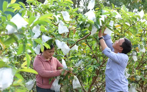 Ea Súp đổi thay từ nông thôn: Khi người dân chủ động bước ra khỏi nghèo khó