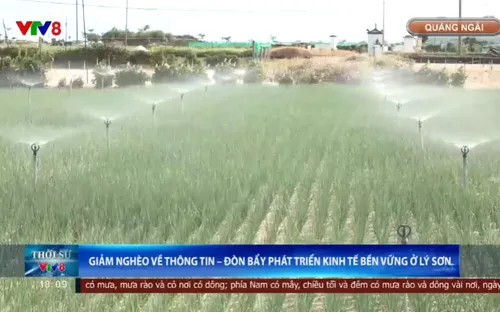 Giảm nghèo về thông tin - Đòn bẩy phát triển kinh tế bền vững ở Lý Sơn