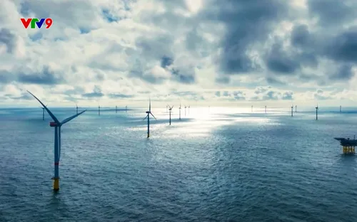 Mỹ đình chỉ nhiều dự án điện gió