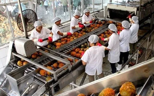 Gia tăng giá trị thặng dư cho nông sản xuất khẩu Việt Nam