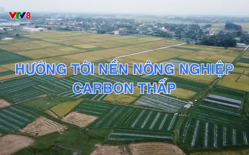 Phóng sự: Hướng tới nền nông nghiệp Carbon thấp (23/12/2025)