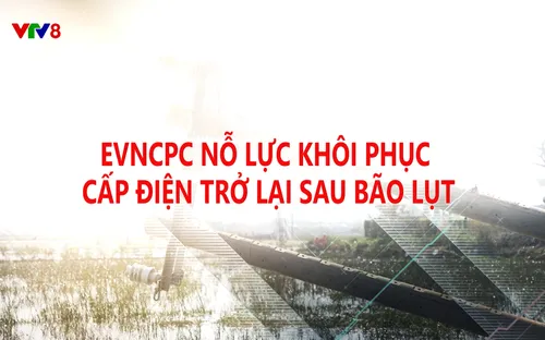Phóng sự: Nỗ lực cấp điện sau mưa bão (20/12/2025)