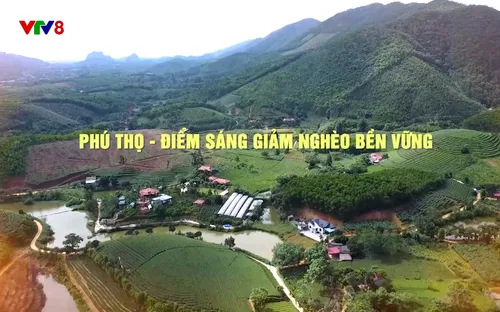 Phóng sự: Phú Thọ - Điểm sáng giảm nghèo bền vững (23/12/2025)