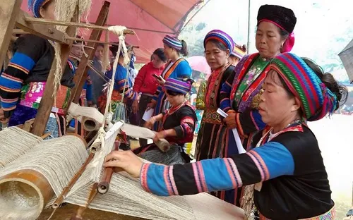 Đồng Nai: Người dân tự giác giao nộp khỉ cộc và tê tê quý hiếm để thả về rừng