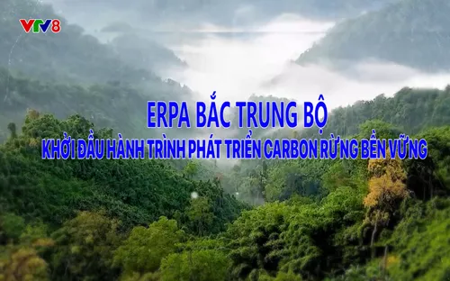Phóng sự: ERPA Bắc Trung Bộ - Khởi đầu phát triển carbon rừng bền vững