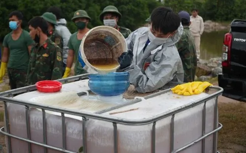 Sự cố tràn dầu tại Dung Quất gây ô nhiễm diện rộng, đe dọa sinh kế người dân