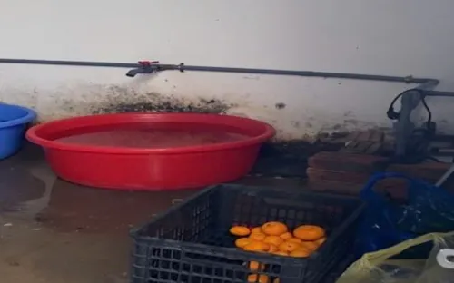 Hà Nội: Phát hiện loạt vi phạm nghiêm trọng trong cung cấp suất ăn bán trú cho trường học ở Mỹ Đức