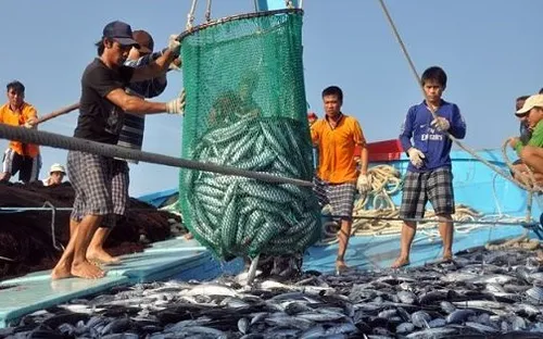 Ngư dân miền Trung chật vật phục hồi sinh kế sau thiên tai