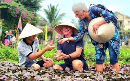 Về quê tìm lại bình yên: Sự lên ngôi của du lịch nông thôn và mô hình homestay bản địa