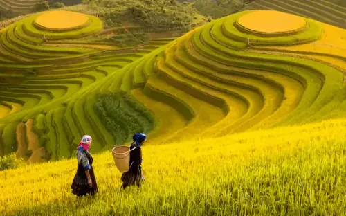 Chinh phục giới hạn: Bản lĩnh con người trước sự vĩ đại của thiên nhiên