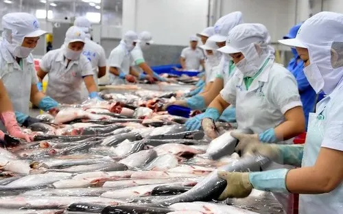 Xuất khẩu cá tra dự báo đạt gần 2,2 tỷ USD