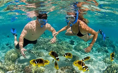 Dưới làn nước xanh: Hành trình khám phá "vườn địa đàng" san hô tại Nha Trang và Phú Quốc