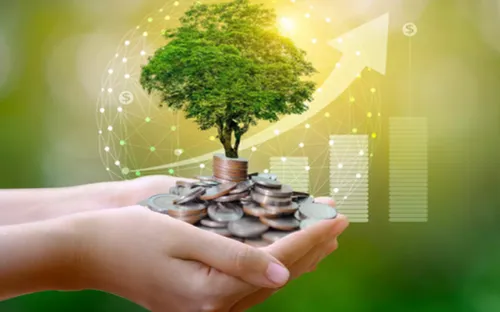 Khi "vốn xanh" không còn là trang sức: Cuộc sàng lọc nghiệt ngã trên đường đua net-zero