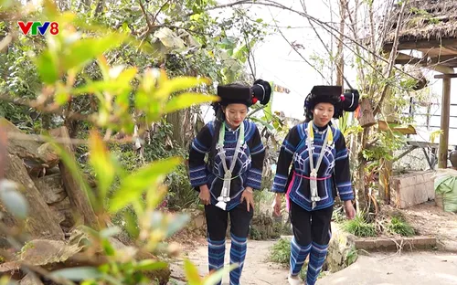 Phóng sự: Điểm tựa của bản làng (30/12/2025)