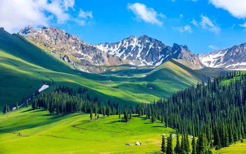 Du lịch Net Zero 2026: Hành trình chữa lành và sứ mệnh tái tạo hệ sinh thái Việt