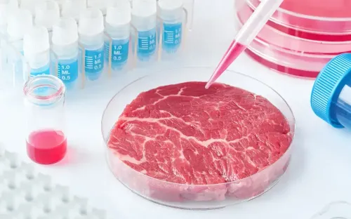 Tự in ra thức ăn, thị trường in 3D thực phẩm tỷ USD