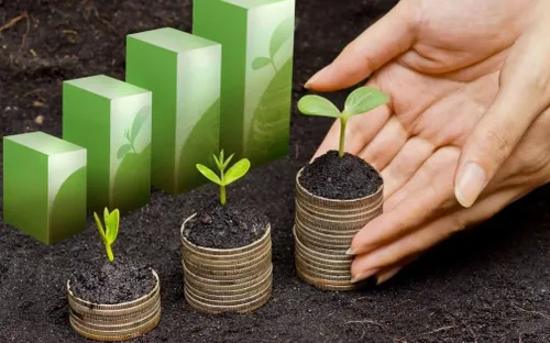 Khởi nghiệp xanh 2026: Khi lợi nhuận song hành cùng trách nhiệm sinh thái