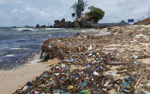 Biến rác thành năng lượng: Lời giải cho bài toán môi trường tại các vùng kinh tế trọng điểm