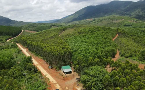 Giám sát rừng bằng "mắt thần": Bước đột phá trong bảo tồn đa dạng sinh học tại các vườn quốc gia