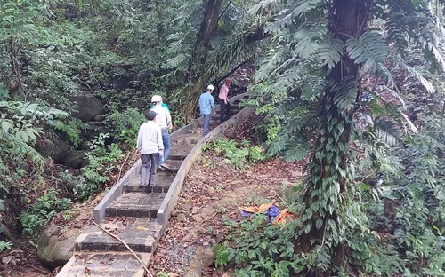 Măng Đen: Khi mỗi nhành sâm đều sở hữu một "hộ chiếu số" định danh