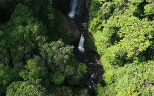 Giữa đại ngàn nhiệt đới: Bản lĩnh sinh tồn và lằn ranh của sự sợ hãi