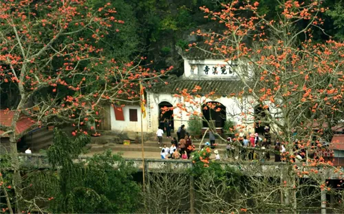 Lễ hội Chùa Hương 2026: Hành trình về miền tâm linh và sự chuyển mình của di sản bền vững