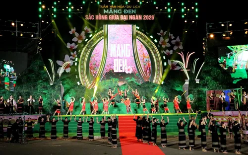 Măng Đen - Sắc hồng giữa đại ngàn 