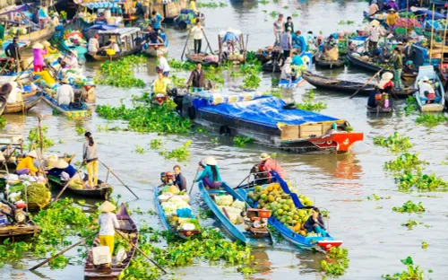 Chợ hoa Tết trên sông: Hồn cốt phương Nam bồng bềnh cùng sóng nước