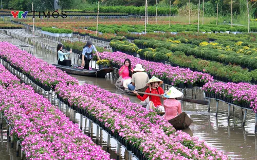 Đón năm mới 2026, làng hoa Sa Đéc hút khách với loạt trải nghiệm đặc sắc