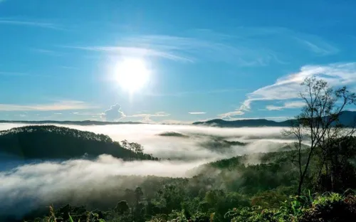 Dược liệu dưới tán rừng Măng Đen: Hướng đi mới cho du lịch sinh thái đẳng cấp