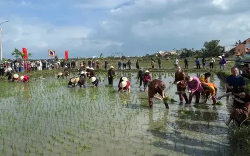 Lễ hội xuống đồng 2026: Khi nông nghiệp truyền thống trở thành sản phẩm du lịch hạng sang