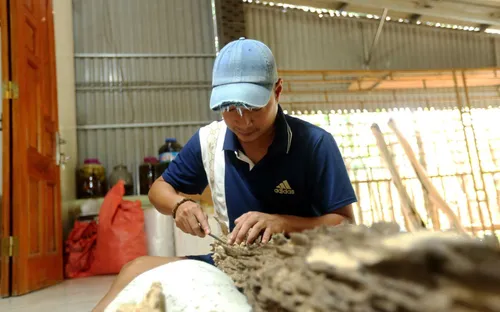 Phát hiện khối trầm tốc bông tự nhiên nặng 15kg trị giá hơn 1 tỷ đồng tại Hà Tĩnh