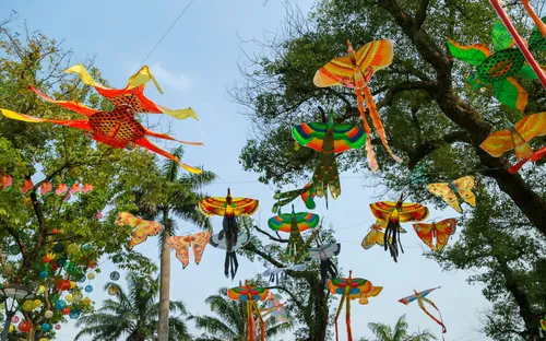 Nghề làm diều truyền thống: Cánh cung tre chở khát vọng chạm tới mây trời