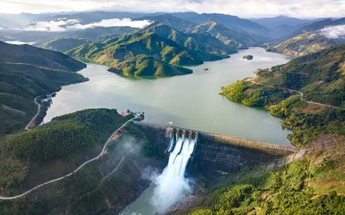 Hệ sinh thái bí ẩn dưới đáy hồ thủy điện: Những cánh rừng chìm và sự thích nghi của sự sống