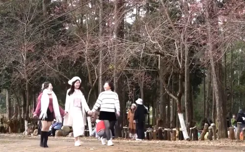 Măng Đen - Điểm đến hấp dẫn đầu năm mới