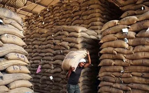 Ấn Độ vượt Trung Quốc trở thành nhà sản xuất gạo lớn nhất thế giới