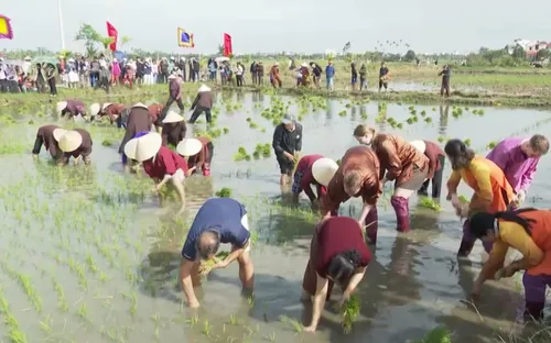 Nông dân khai vụ đầu năm