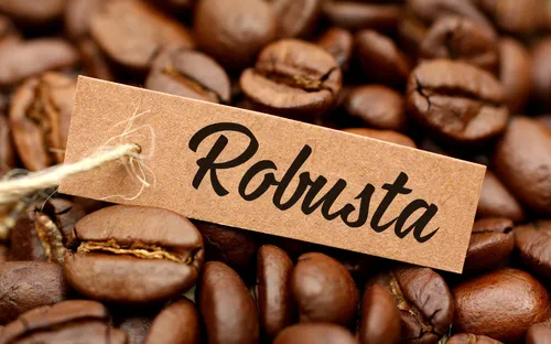 Giá cà phê ngày 6/1: Robusta trên sàn London quay đầu giảm sau 7 phiên tăng liên tiếp