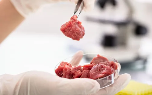 Thịt nuôi cấy: Cuộc cách mạng thực phẩm không tiếng súng trong phòng thí nghiệm