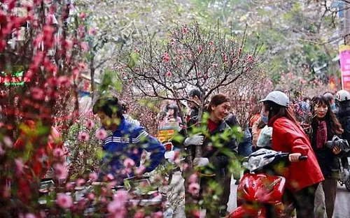 Chăm lo Tết Bính Ngọ 2026 cho người có công, người nghèo và đối tượng yếu thế