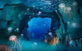 Sinh vật phát quang: Những "ngôi sao" tự thân dưới đáy đại dương huyền bí